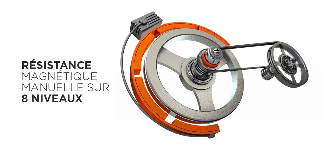 Rameur Fitness Doctor Shark 2