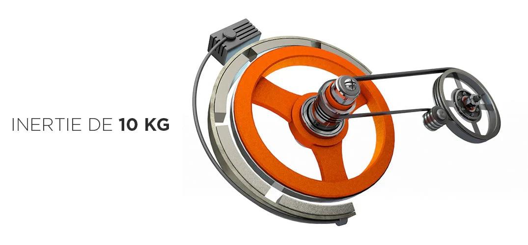 Rameur Fitness Doctor Shark 2